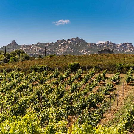 Locanda In Vigna Arzachena Eksteriør billede