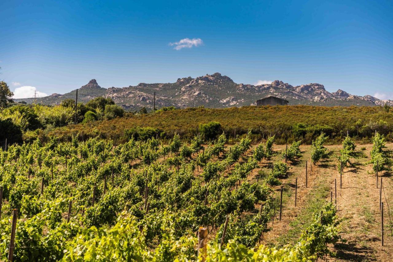 Locanda In Vigna Arzachena Eksteriør billede