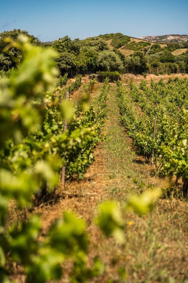 Locanda In Vigna Arzachena Eksteriør billede