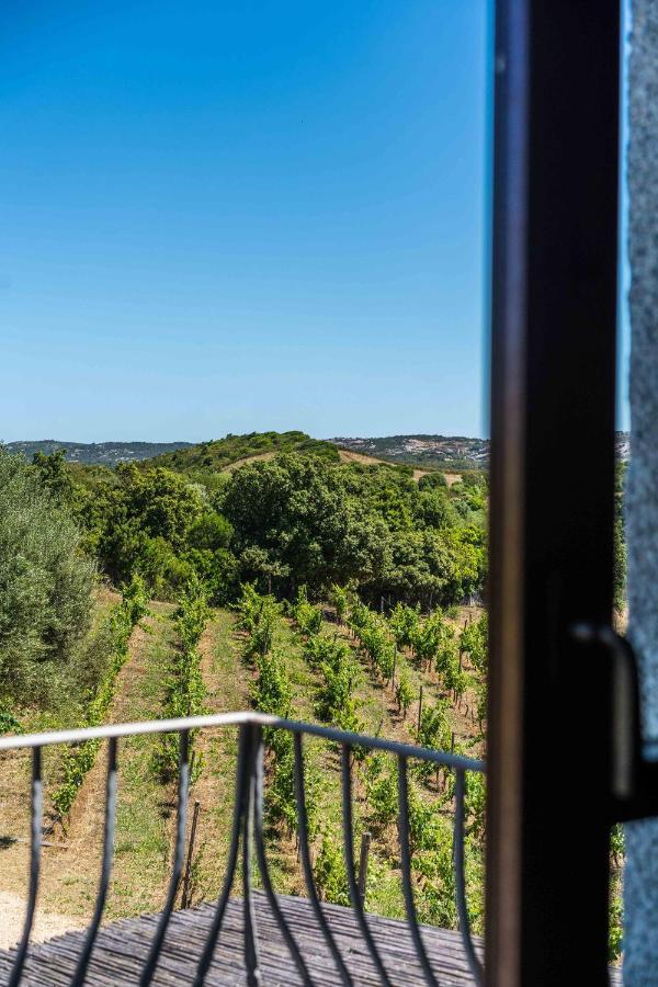 Locanda In Vigna Arzachena Eksteriør billede